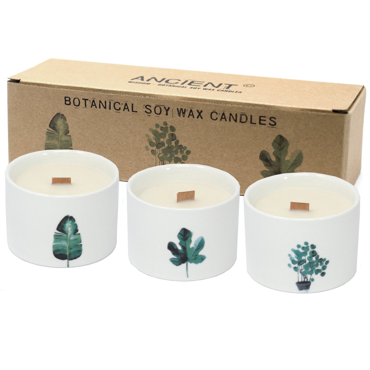 Botanical Soy Wax Candle Mix - 3 Leaves - Medium